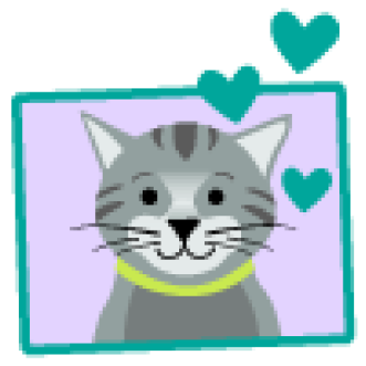 Listing photo pets 3.png